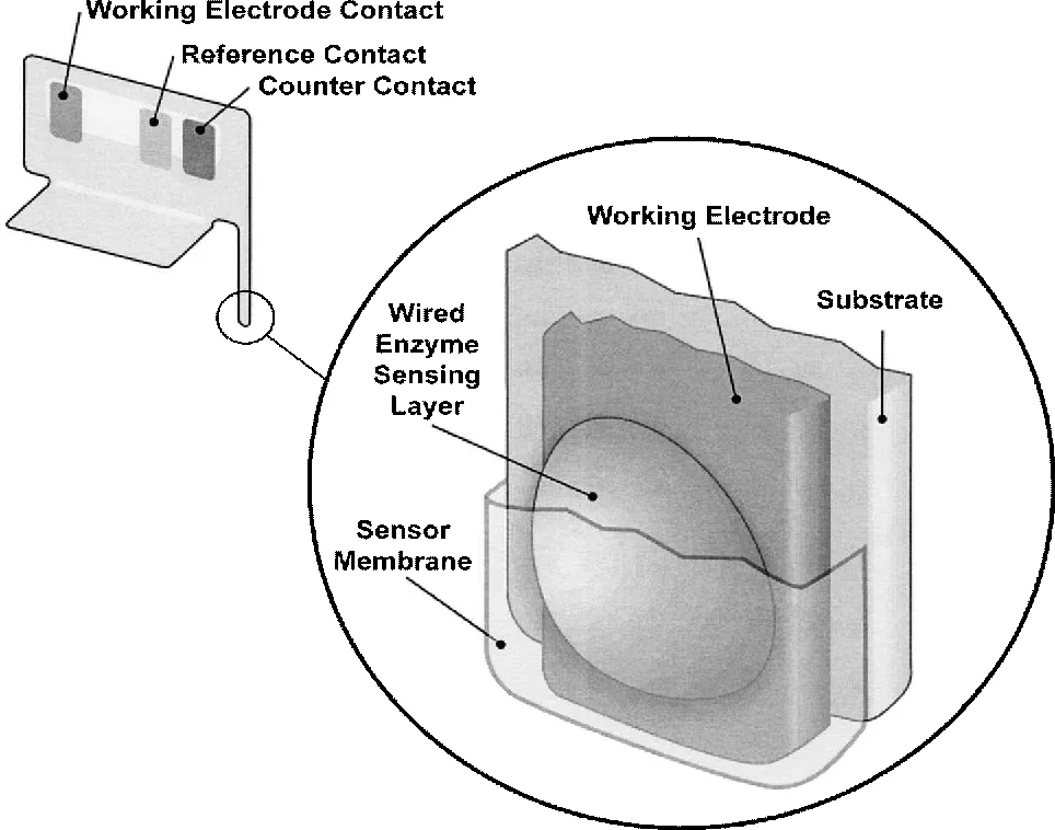 Wired-enzyme continuous glucose sensor, associated with inventor Adam Heller