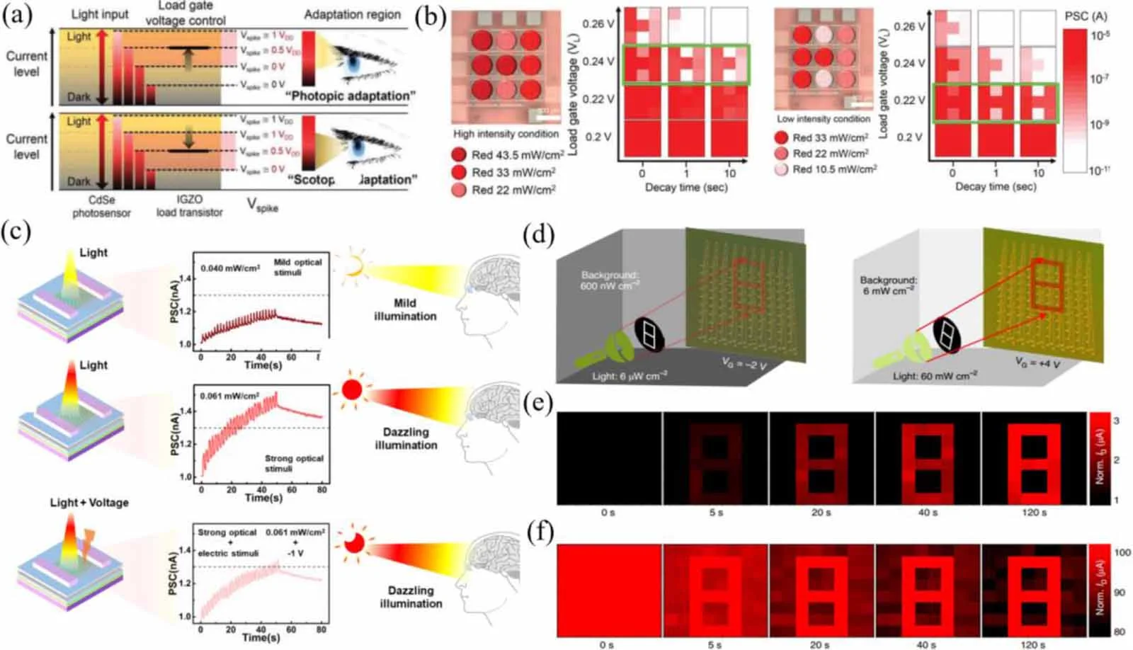 Integrated sensors, artificial-vision VLSI, and optoelectronic systems, associated with inventor Albert H. Titus