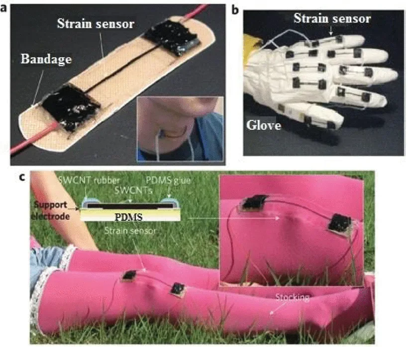 printed flexible electronic devices and wearable sensors, associated with inventor Ana Claudia Arias