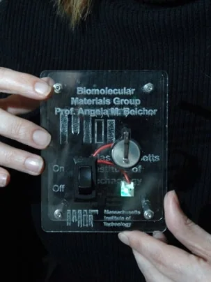 Virus-templated lithium-ion battery electrodes, associated with inventor Angela M. Belcher