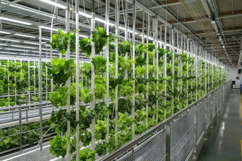 Vertical insect-farm production system, associated with inventor Antoine Hubert