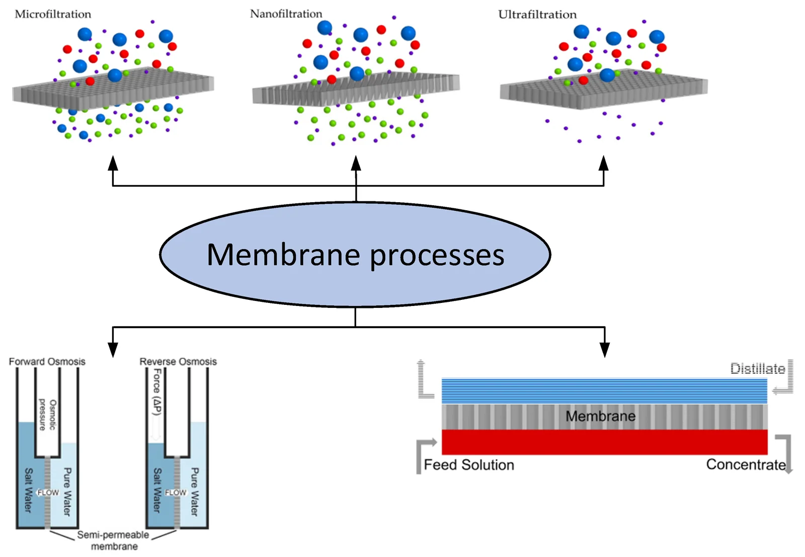 polymer membranes for water purification, gas separation, and carbon capture, associated with inventor Benny Freeman