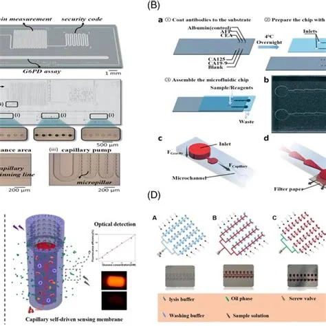 Microfluidic systems for diagnostics, genetic analysis, and sample preparation, associated with inventor Bruce K. Gale