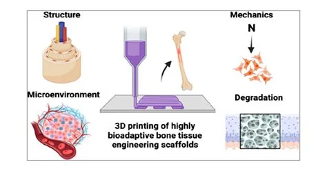 Biomaterial surface-engineering technologies for tissue formation, associated with inventor David A. Puleo