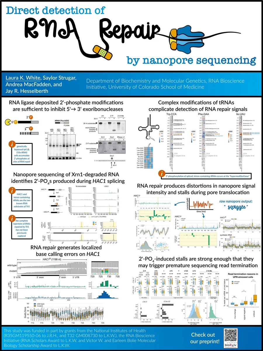 Nanopore DNA/RNA sequencing platform, associated with inventor David Deamer