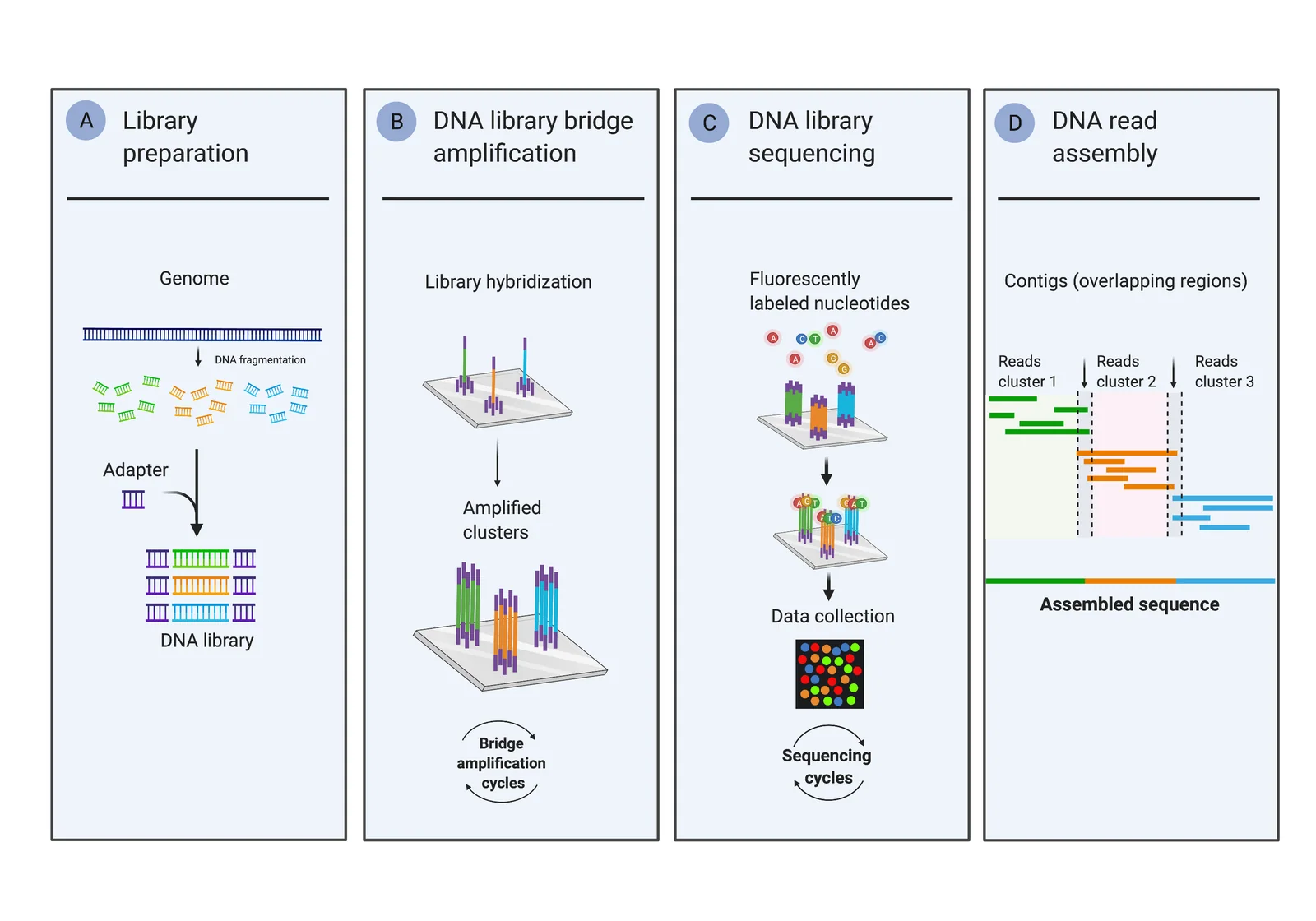 Sequencing-by-synthesis DNA instrument, associated with inventor David Klenerman