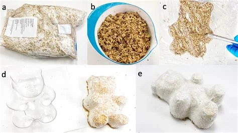 Mushroom Packaging mycelium composite, associated with inventor Eben Bayer