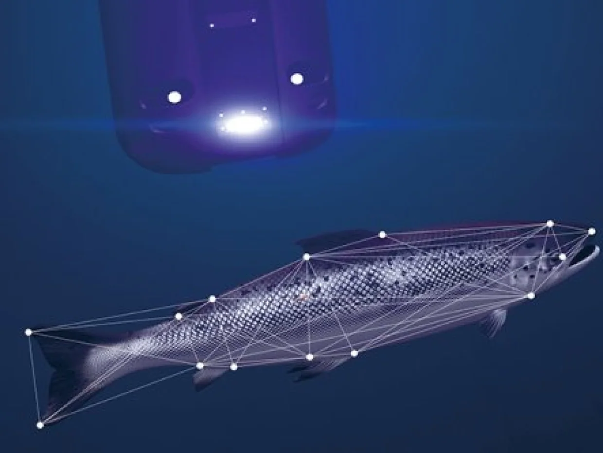 Stingray laser delousing robot, associated with inventor Esben Beck