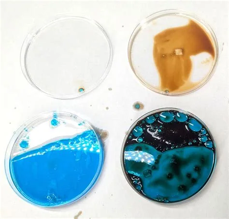 Ferrofluid microplastic-removal method and device, associated with inventor Fionn Ferreira