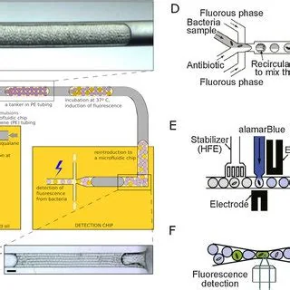 Integrated microfluidic diagnostic and antimicrobial-susceptibility-test systems, associated with inventor Gwo-Bin Lee