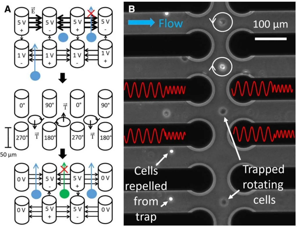 Engineered microdevices for cell manipulation and analysis, associated with inventor Horacio Dante Espinosa