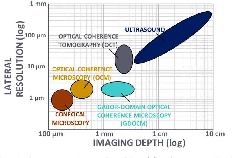 Gabor-domain optical-coherence microscopy, associated with inventor Jannick Rolland