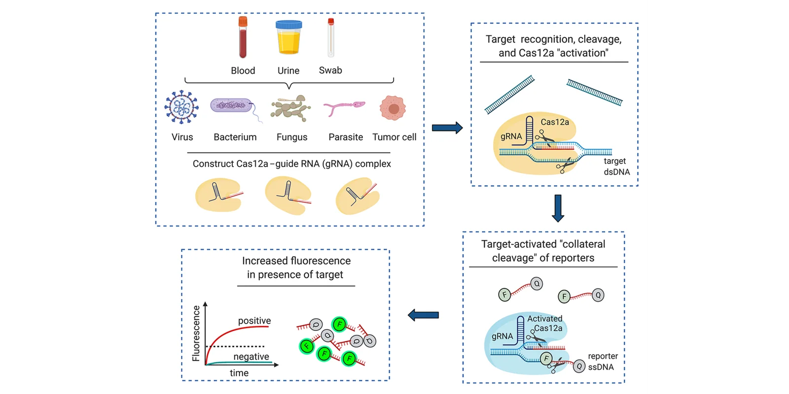 Microfluidic PCR-tube and molecular-diagnostic devices, associated with inventor Juan G. Santiago