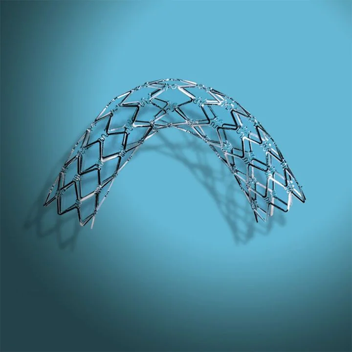 Palmaz balloon-expandable intravascular stent, associated with inventor Julio C. Palmaz