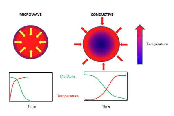 Microwave thermal-processing and pathogen-control systems, associated with inventor Juming Tang