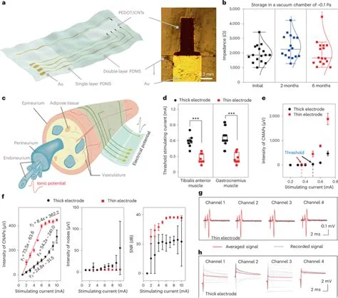 Implantable neural electrodes and prosthetic interfaces, associated with inventor Justin Williams