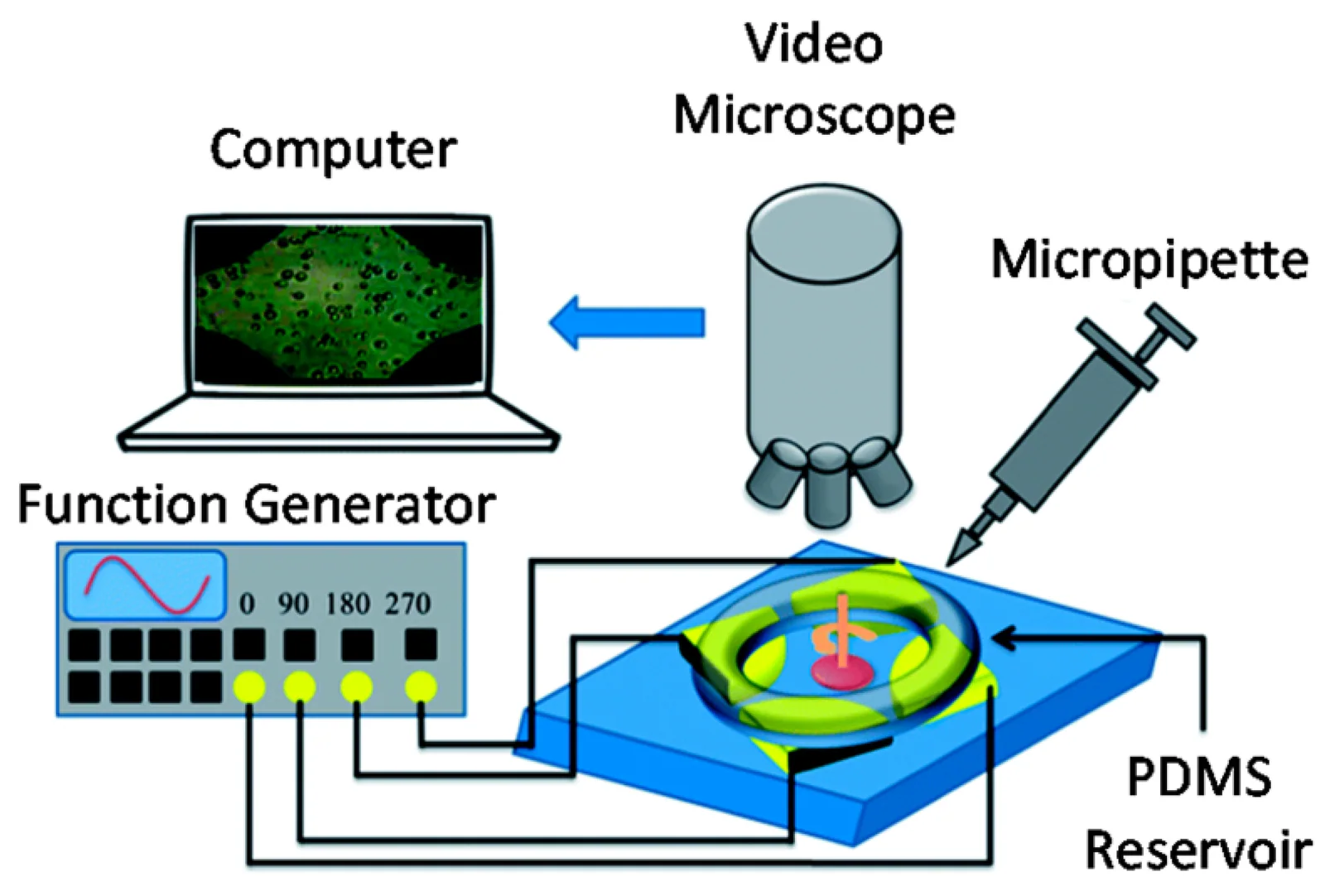 Micro-electromechanical systems (MEMS), associated with inventor Kurt Edward Petersen