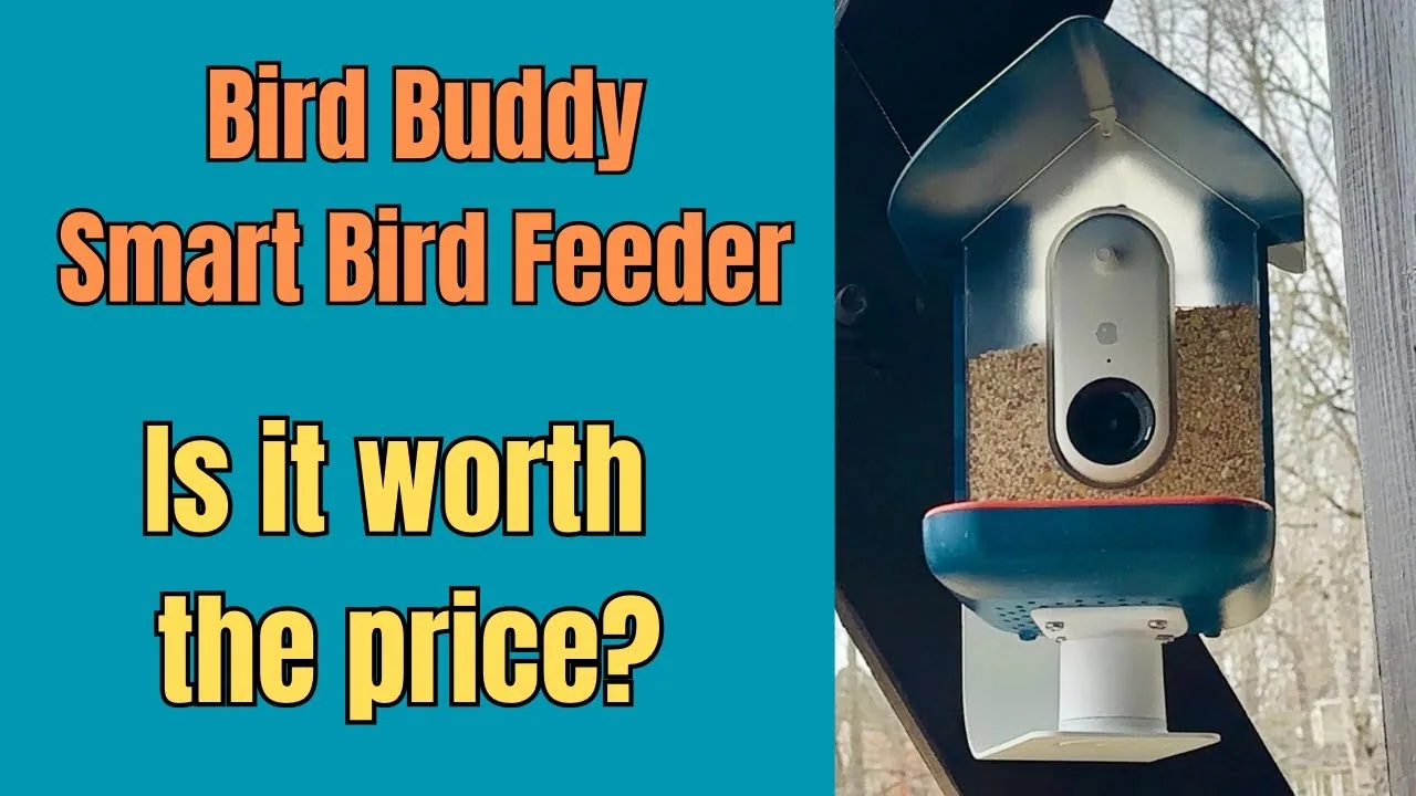 Bird Buddy smart camera bird feeder, associated with inventor Kyle Buzzard