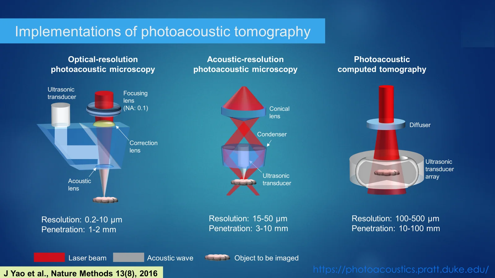 Photoacoustic tomography imaging system, associated with inventor Lihong Wang