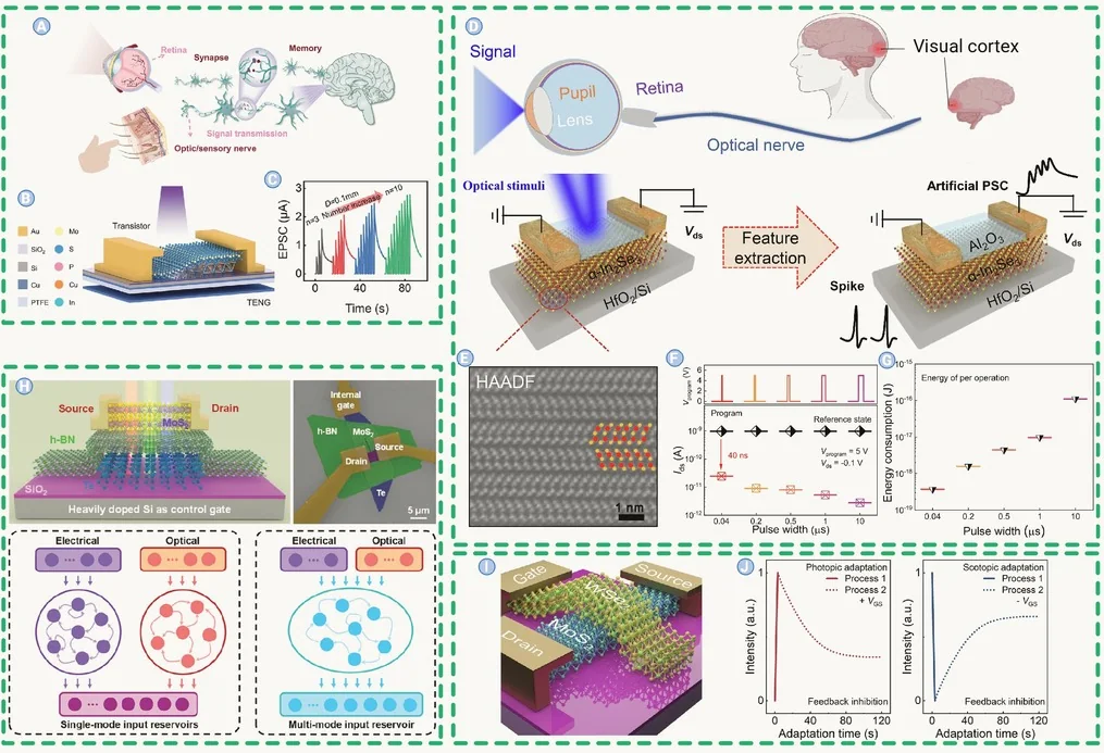 Optoelectronic sensors, nanodevices, and solar-energy photocatalysis technologies, associated with inventor Ling Zang