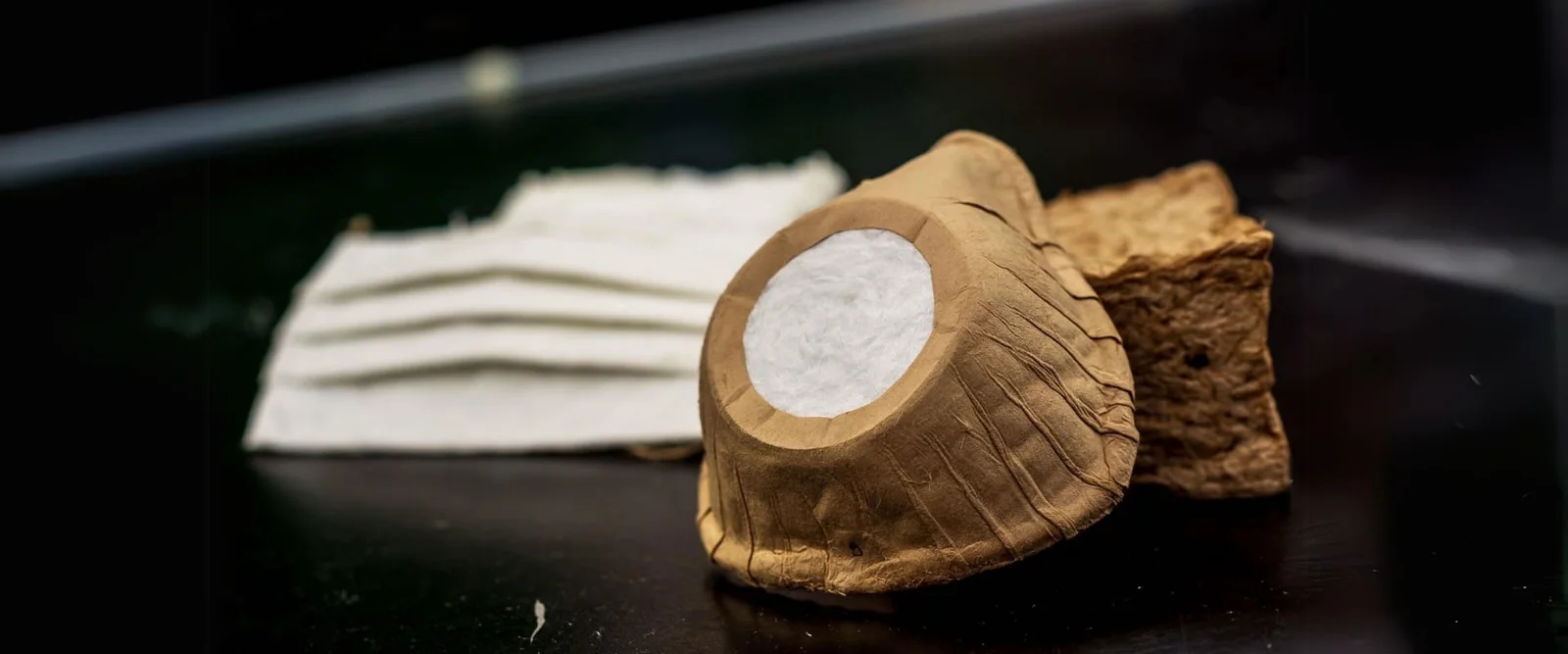 Air-pollution capture and biodegradable-material system, associated with inventor Mariana Pérez