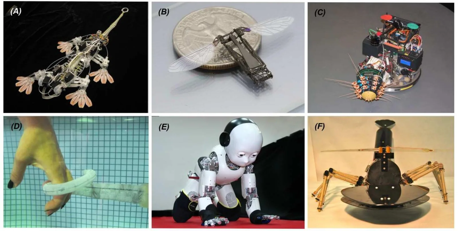 Stickybot gecko-inspired climbing robot, associated with inventor Mark Cutkosky