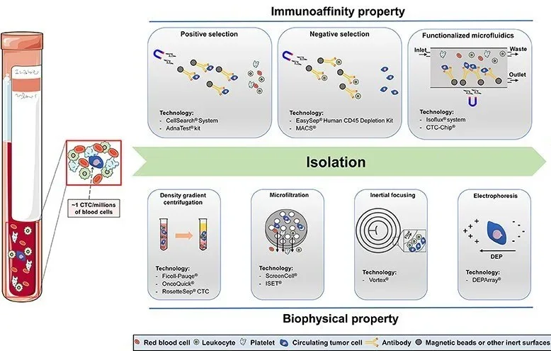 CTC microchip for circulating tumor-cell isolation, associated with inventor Mehmet Toner
