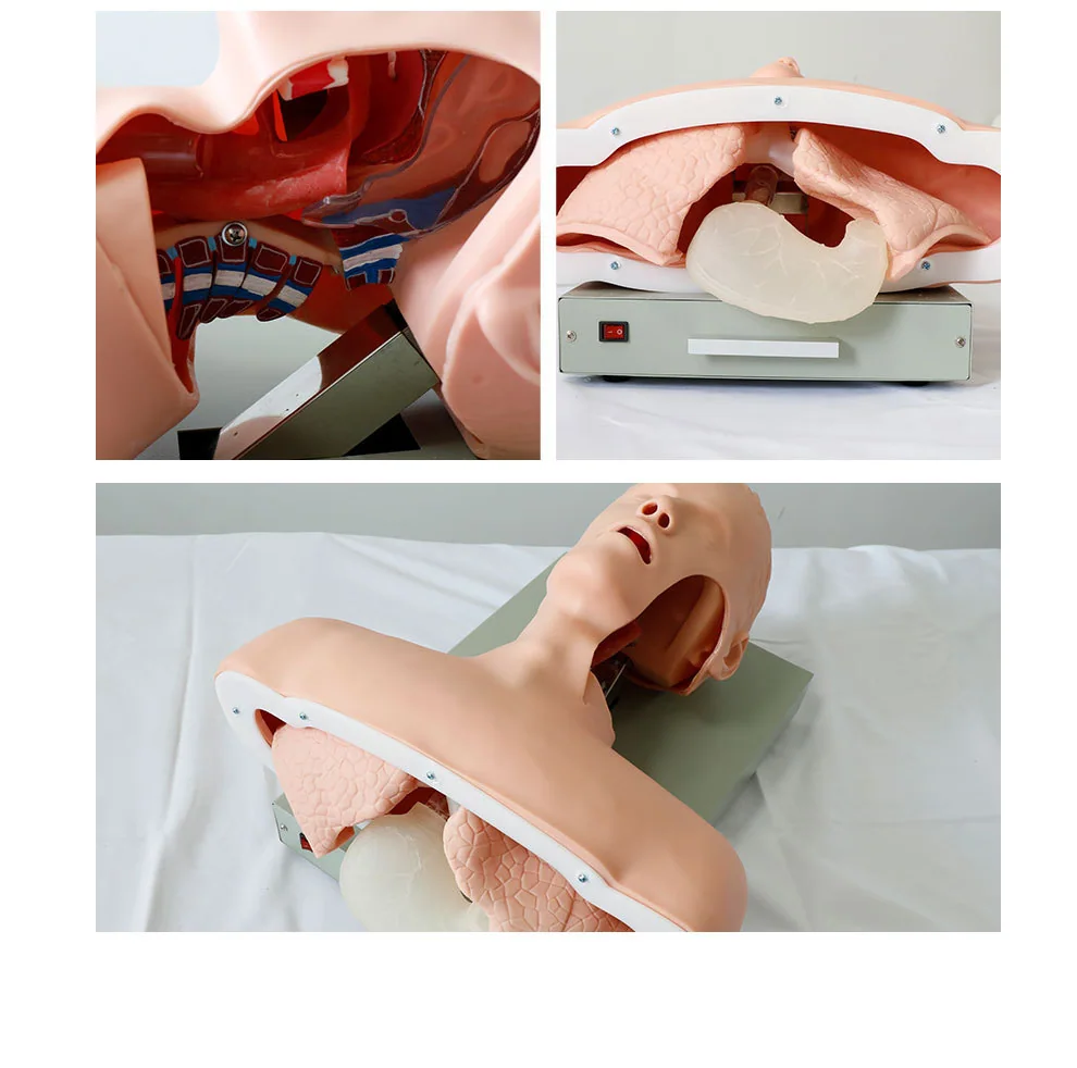 Human Patient Simulator medical-training manikin, associated with inventor Michael Good