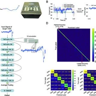MspA nanopores for DNA sequencing, associated with inventor Michael Niederweis