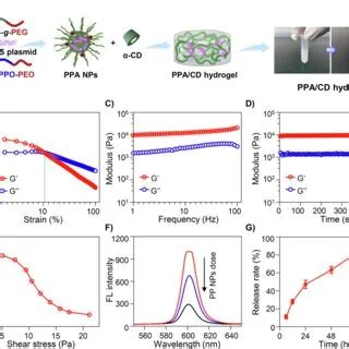 Injectable sustained-release hydrogel platform, associated with inventor Molly S. Shoichet