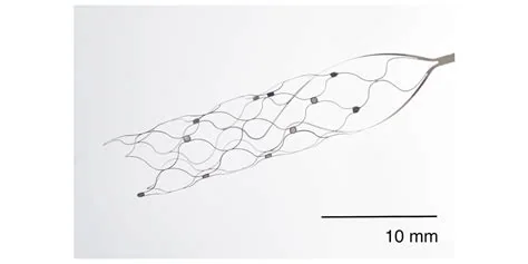 Stentrode brain-computer interface implant, associated with inventor Nicholas Opie
