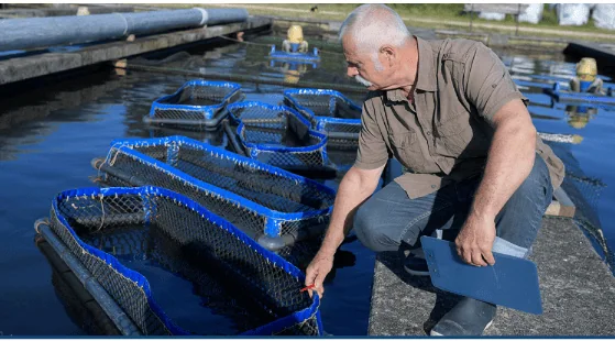 Natural water-filtration and aquaculture-cleaning technologies, associated with inventor Norma A. Alcantar