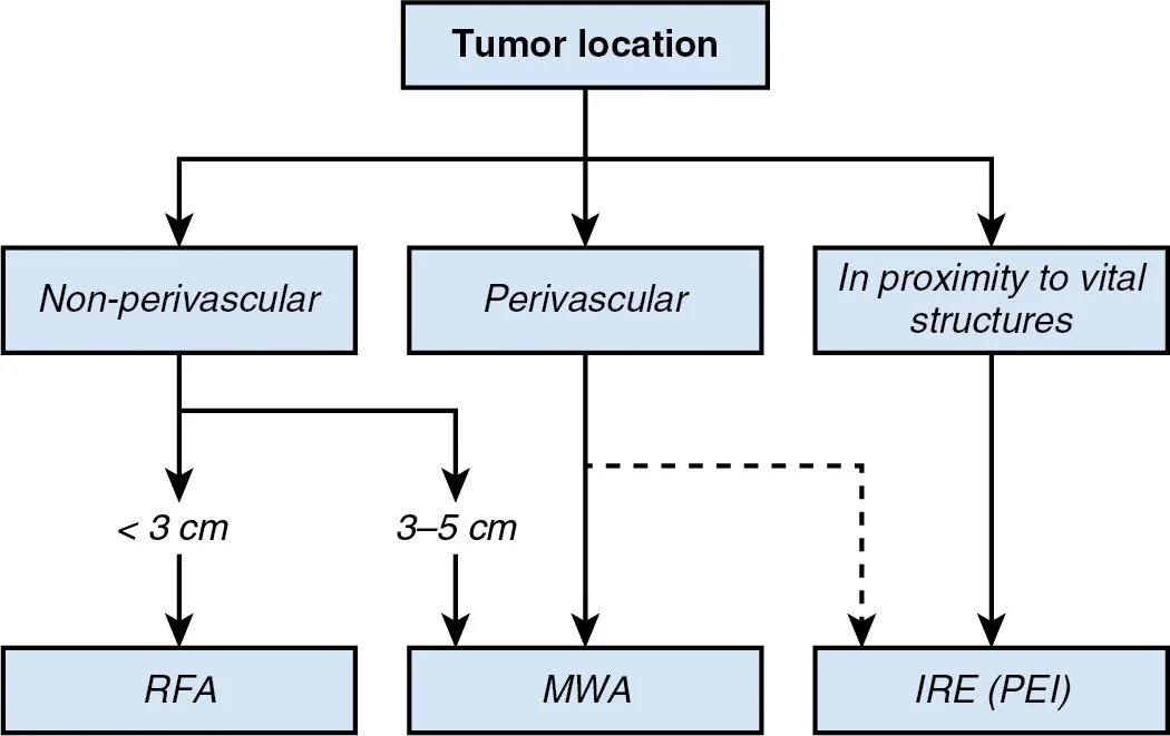 Irreversible-electroporation tumor-ablation system, associated with inventor Rafael V. Davalos