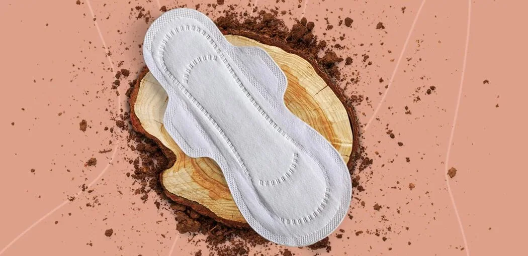 Biodegradable menstrual pads and tampons, associated with inventor Rafaella de Bona Gonçalves