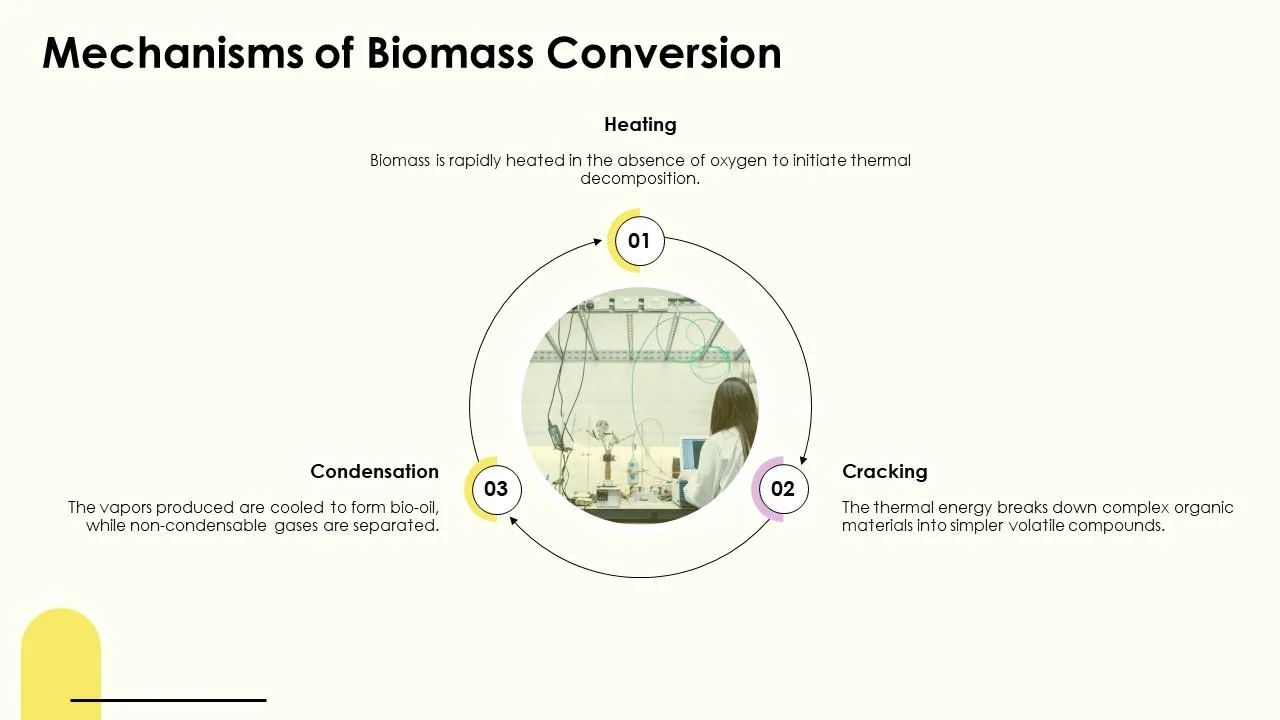 Fast-pyrolysis biomass-conversion platform, associated with inventor Robert Brown