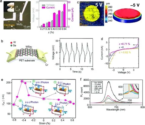 textured piezoelectric energy-harvesting materials and flexible photovoltaics, associated with inventor Shashank Priya