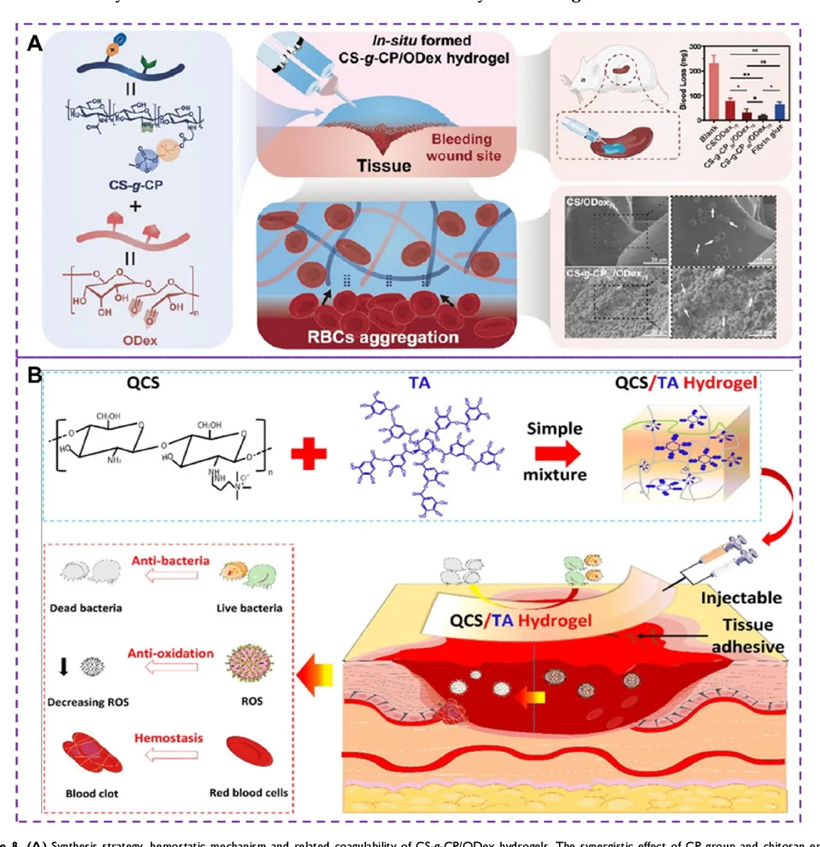 hemostatic materials and electroadhesive wound-sealing systems, associated with inventor Srinivasa Raghavan