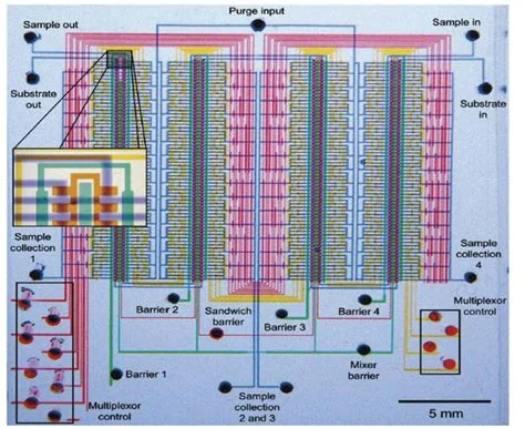 Microfluidic large-scale integration lab-on-a-chip, associated with inventor Stephen R. Quake