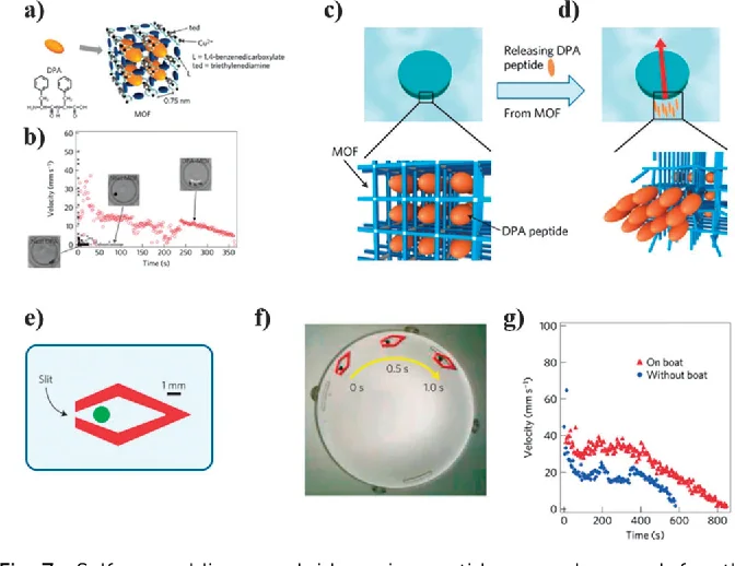Nanomedical nanosensors and nanodevices, associated with inventor Tadeusz Malinski