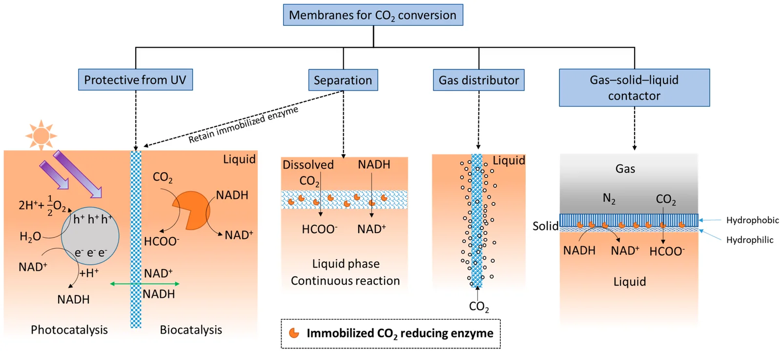 High-temperature membrane reactors for carbon capture, associated with inventor Theo T. Tsotsis