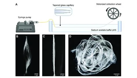 Recombinant spider-silk fibre manufacturing process, associated with inventor Thomas Scheibel