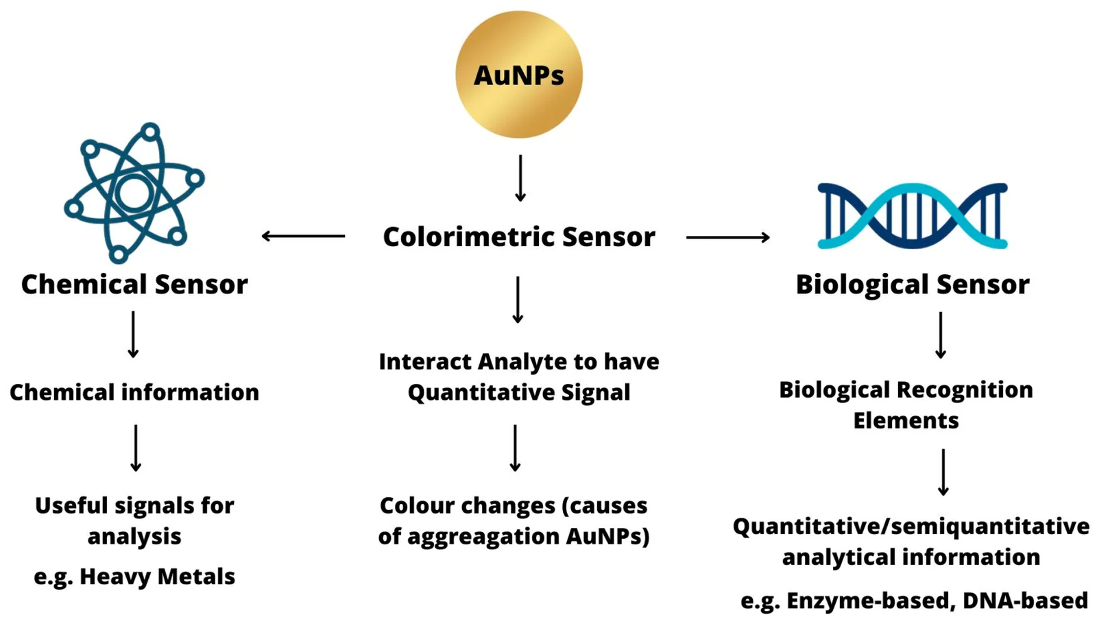 Point-of-need chemical and biological sensors, associated with inventor Venkat R. Bhethanabotla