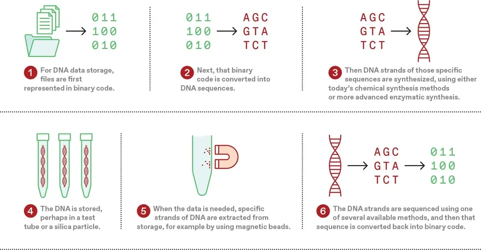 DNA data-storage hardware method, associated with inventor Wendelin Stark