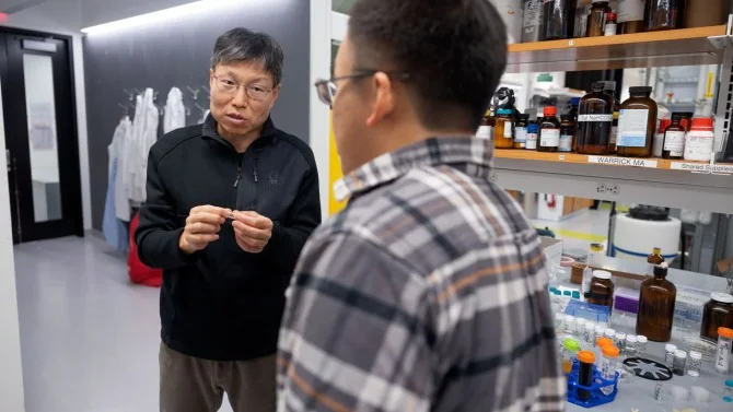 Biodegradable vascular graft, associated with inventor Yadong Wang