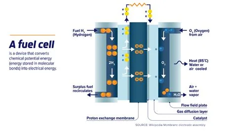 Electrochemical battery and fuel-cell technologies, associated with inventor Yang Shao-Horn
