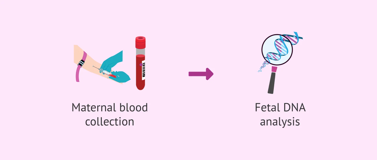 Non-invasive prenatal DNA diagnostic test, associated with inventor Yuk-Ming (Dennis) Lo