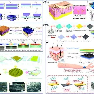 Skin-inspired electronic pressure-sensing system, associated with inventor Zhenan Bao